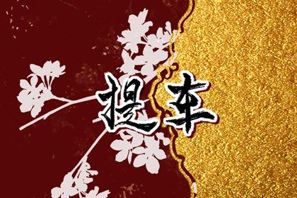 2025年农历三月十一提车好不好 宜提车买车吉日查询