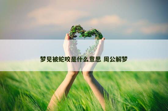 梦见被蛇咬是什么意思 周公解梦