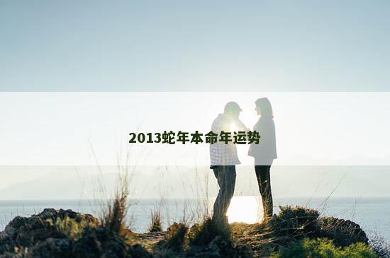 2013蛇年本命年运势