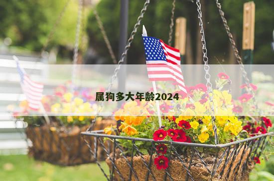 属狗多大年龄2024