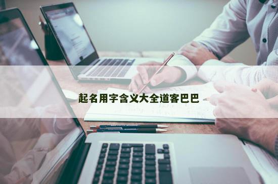 起名用字含义大全道客巴巴