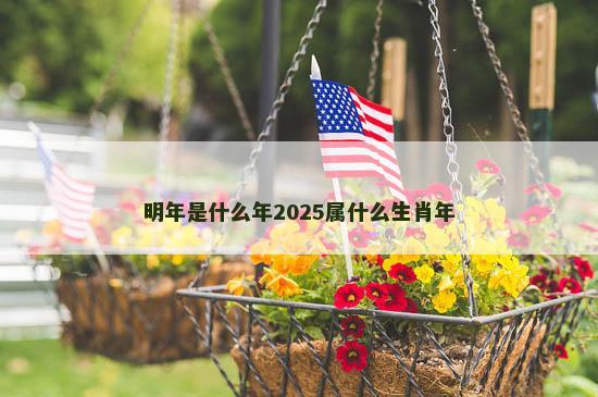 明年是什么年2025属什么生肖年