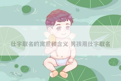 仕字取名的寓意和含义 男孩用仕字取名