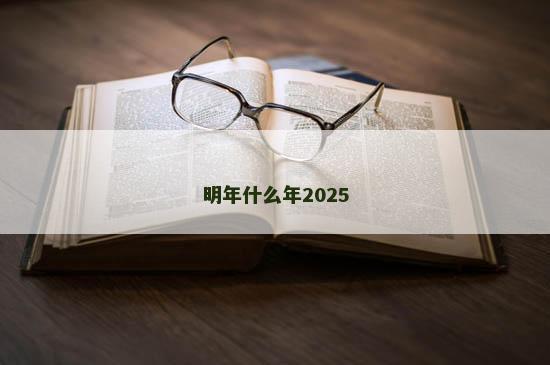 明年什么年2025