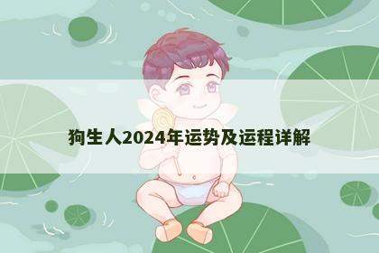 狗生人2024年运势及运程详解