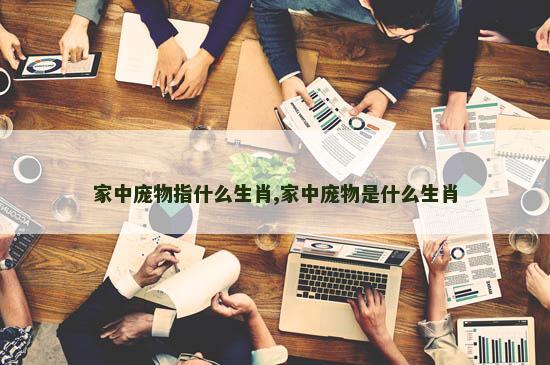家中庞物指什么生肖,家中庞物是什么生肖