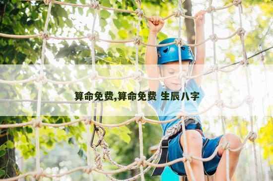 算命免费,算命免费 生辰八字