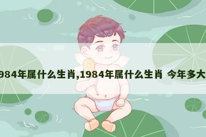 1984年属什么生肖,1984年属什么生肖 今年多大了