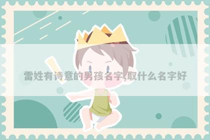雷姓有诗意的男孩名字,取什么名字好