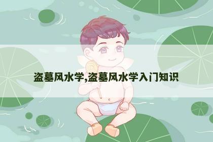 盗墓风水学,盗墓风水学入门知识