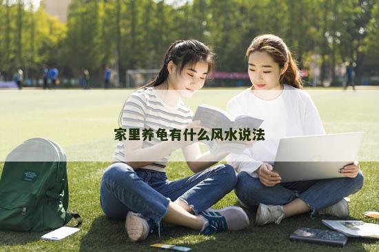 家里养龟有什么风水说法