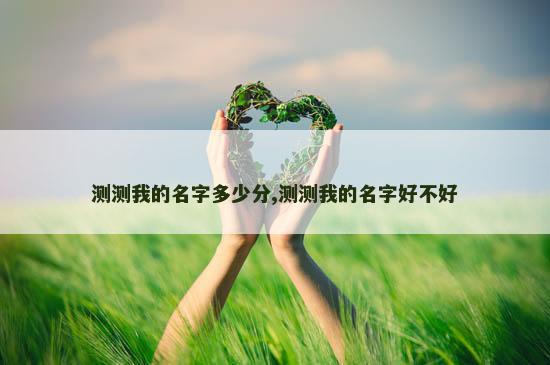 测测我的名字多少分,测测我的名字好不好
