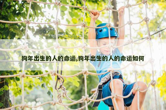 狗年出生的人的命运,狗年出生的人的命运如何