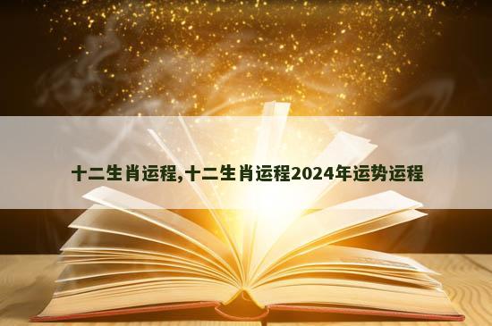 十二生肖运程,十二生肖运程2024年运势运程