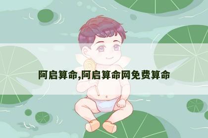 阿启算命,阿启算命网免费算命